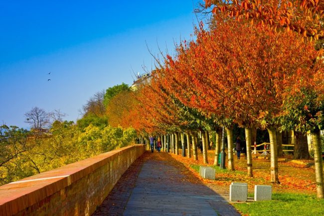 Otoño en Budapest